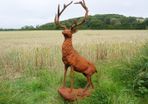 Rusty Stag Style 2 D8889
