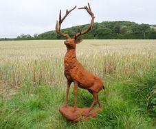 Rusty Stag Style 2 D8889