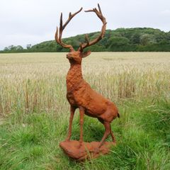 Rusty Stag Style 2 D8889