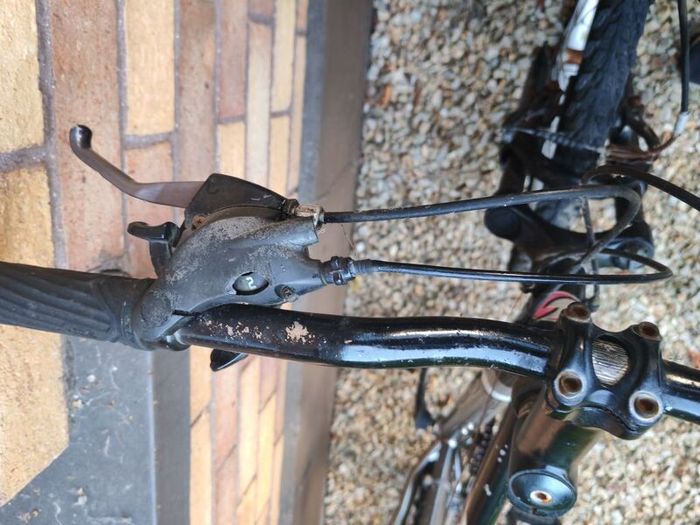 Adult Mountain bike