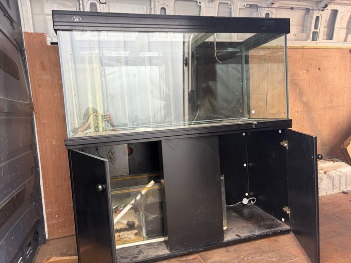 fishtank project