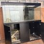 fishtank project Image 3