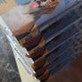 Burns dog food x6 Free to a good dog Image 2