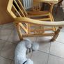Chair Image 2