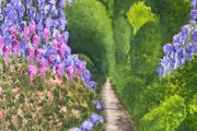 Original oil painting