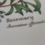 Flan Dish Royal Worcester Worcester Herbs IN BOX AS NEW. Image 6