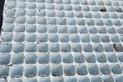 Plant Seedling Trays, FREE