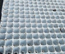 Plant Seedling Trays, FREE