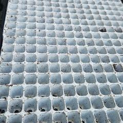 Plant Seedling Trays, FREE
