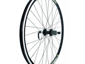 Mtb Vigor