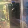 Fish tank with fishes and accesories. Image 5