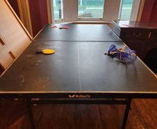 table tennis table