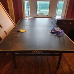 table tennis table