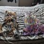 Ladies Bundle dresses medium Image 4