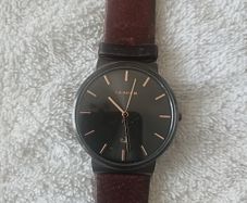 skagen mens watch
