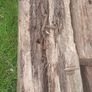 Reclaimed Railway Sleepers Garden, Landscaping Image 4