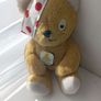 pudsey bear children in need bear Image 7