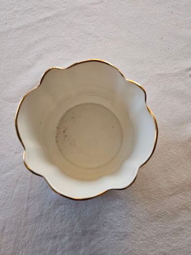 Royal Stuart Tara hall bone China vase planter