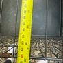 Large Dog Crate Image 6
