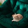 Armchair Comfy Chair Living Room Armchair Velvet Chair Accent Chair Reading Chair Relax Arm Chair Lounge Chair Bedroom Chair with Steel Frame, Green Image 3