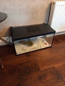 Fish Tank