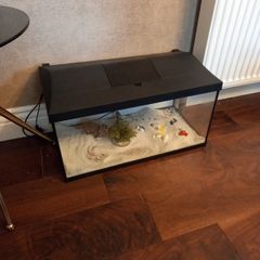 Fish Tank