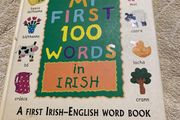 Irish language children's book