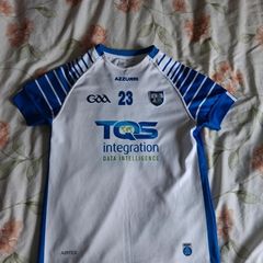 Waterford GAA jersey