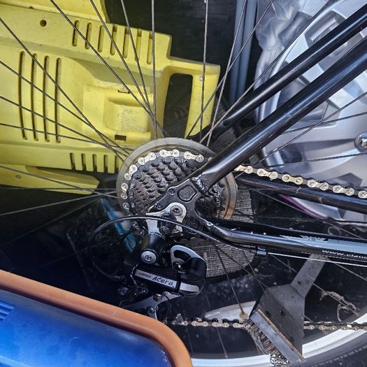 ladys bike