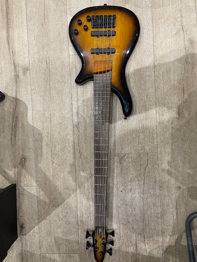 5 String Electric Bass
