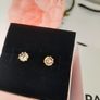 New genuine pandora earrings Image 5