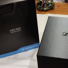 Sennheiser HD700 audiophile open-back headphones.