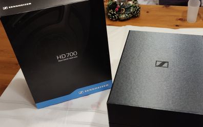 Sennheiser HD700 audiophile open-back headphones.