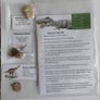 Dinosaur Fossils Image 2