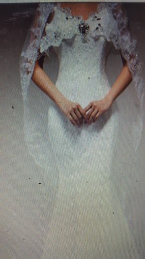 Long Cathedral Length Sequined Veil