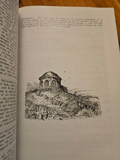 The Abandoned Mines Of West Carbery. Promoters Adventurers And Miners. By D. Cowman And T.a.reilly. First Edition Large Volume Paperback In Good Condition.  See Photos For Same.