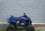 Yamaha yfm 90 (raptor)