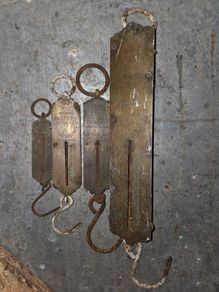 Salters scales