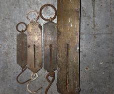 Salters scales