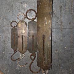 Salters scales