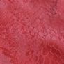 Red snake print leather two piece set, size 10 Image 4