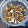 electronic Scrap Image 5