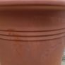 Terracotta pot Image 3