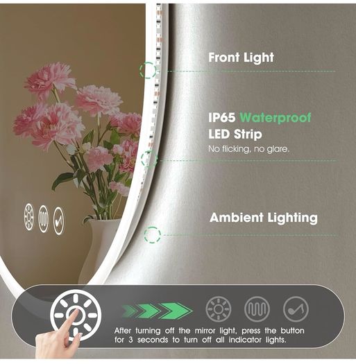 Oval Bluetooth Bathroom Mirror with LED Lights 500x800mm, Anti-Fog