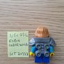 lego nex032 robin underwood, set 70333 Image 2
