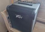 Peavey Max 100 bass amp