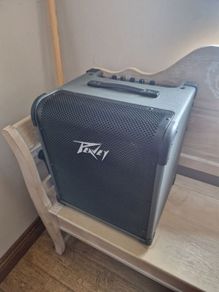 Peavey Max 100 bass amp