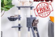 NEW SALE | 145cm Cat Scratch Posts Multi-Level Stable Cat Climbing Tower Cat Activity Trees with Ladder, Indoor Pet Activity Furniture Play House for Kitty Kitten