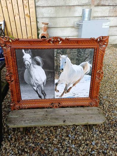 Vintage Equestrian Picture