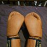 Fairtex BGV-21(Brand New) Image 3
